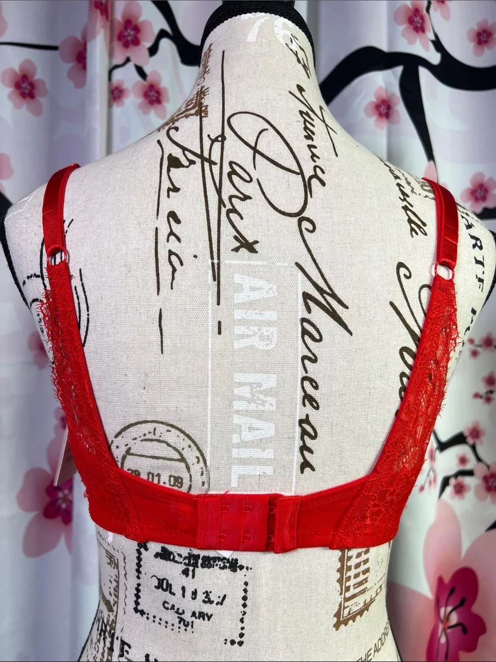 Auden Red Satin Lace Push-Up Bra
